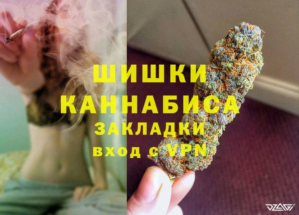 СК Куйбышев