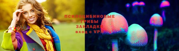 гидра Кулебаки