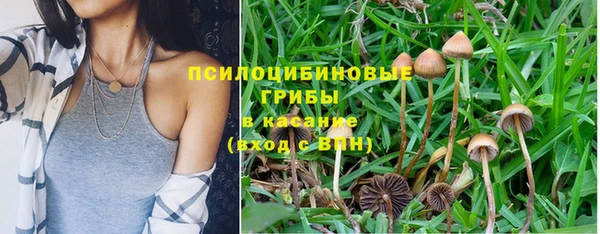 гидра Кулебаки