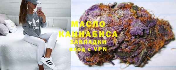 гидра Кулебаки