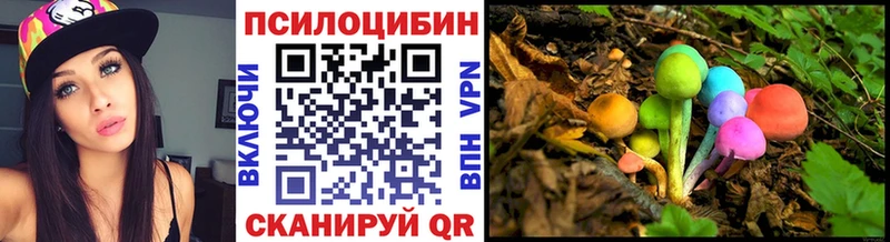 Псилоцибиновые грибы Psilocybe  Каспийск 